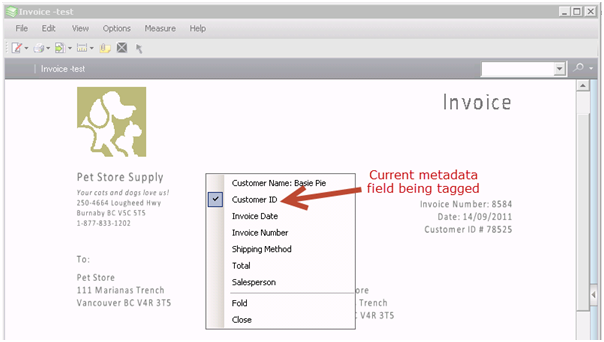 Click to Tag metadata capture 2
