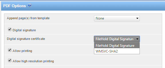 PDF options on workflow template
